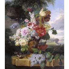  Reprodukce obrazu  2259